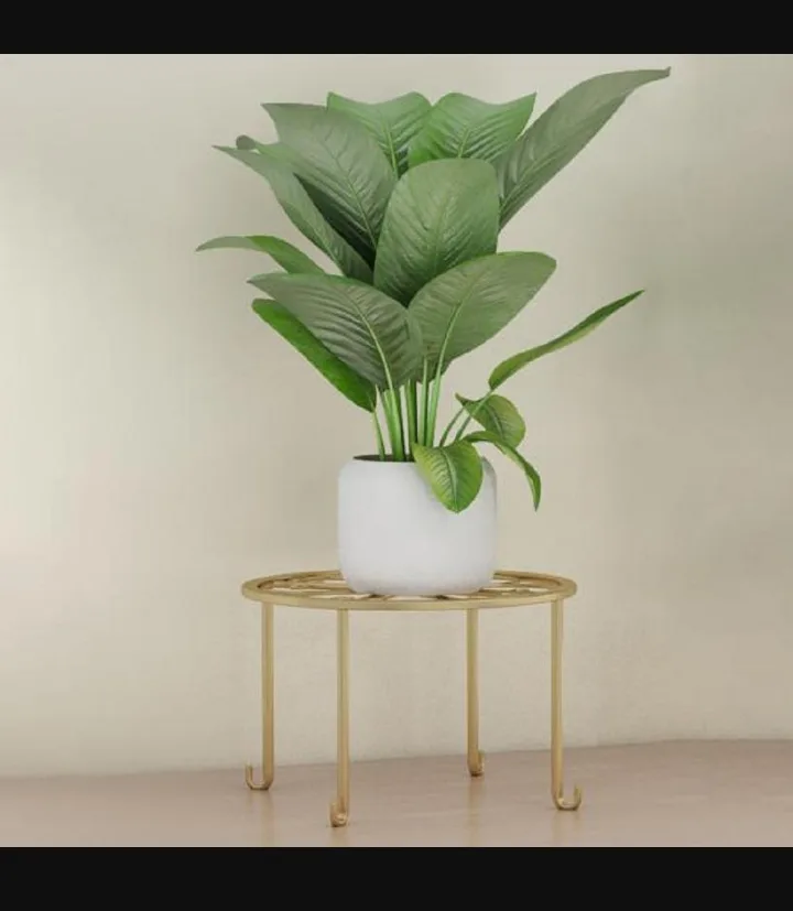 Plant decorations stand plus mini table photo 1